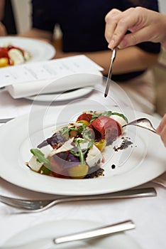 Vegetarian food with marinated tomatoes, arugula, mozzarella che