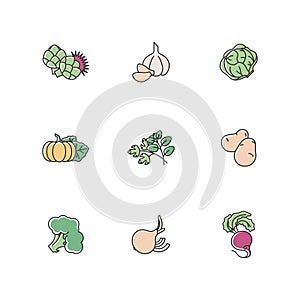 Vegetarian food RGB color icons set