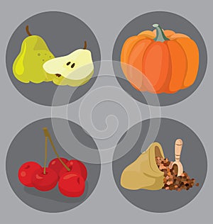 Vegetarian foods: Cereal, pumpkin, pear, cherry