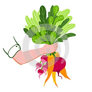 Vegetarian illustration of beets, carrots and greens isolated on the white background. Vegetable bouquet. Bright eco design