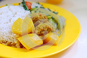 Vegetarian Indian mutton curry rice