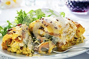 Vegetarian Lasagna