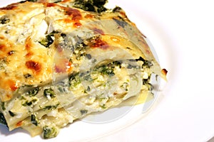 Vegetarian lasagne with ricott