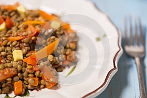 Vegetarian lentils salad