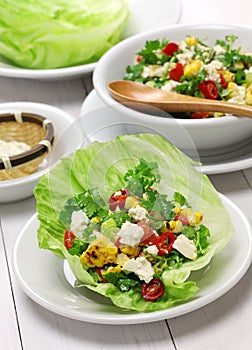 Vegetarian lettuce wraps
