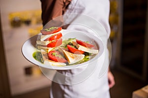 Vegetarian lunches tomato salad Caprese