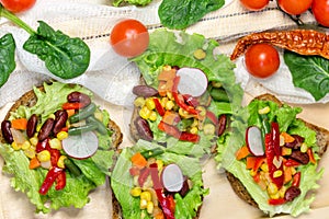 Vegetarian meal - healthy food (vegetarian sandwich)