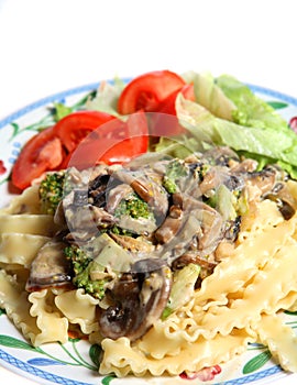 Vegetarian mushroom cream sauce pasta salad meal