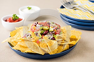 Vegetarian nachos with salsa and sour cream dips