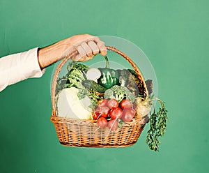 Vegetarian nutrition concept. Farmer holds cabbage, radish, pepper, broccoli, carrot