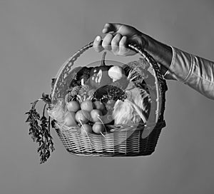 Vegetarian nutrition concept. Wicker basket with fresh vegetables. Farmer holds cabbage, radish, pepper, broccoli