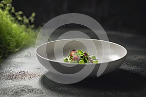 Vegetarian nutritious fitness dish salad. Gourmet restaurant menu. michelin dish, horizontal banner empty space