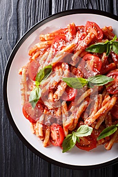 Vegetarian pasta Casarecce with tomato sauce, parmesan cheese and basil closeup on a plate. Vertical top view