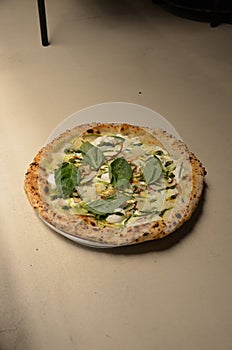 Vegetarian pizza with basil, plenty of ricotta and vegetables, crispy Italian style, made in a 400 degree gas oven in 1.5 minutes