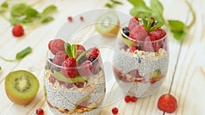 Vegetarian pudding chia with fruits