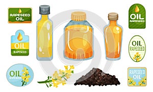 Vegetarian Rapeseed Oil Bottles Vector Set. Different Glassware With Raw Edible Liquid.