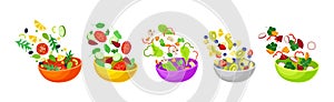 Vegetarian Salad with Dropping in Bowl Ingredient Mix Vector Set