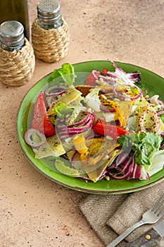 Vegetarian salad of fresh vegetables, with lettuce leaves, red onion, fried paprika, dried herbs, spices, with oil