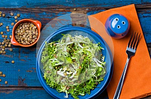 Vegetarian salad with lettuce and lentil. Colorful blue orange background photo