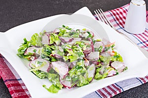 Vegetarian salad with radish and green onions
