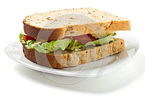 Vegetarian Sandwich