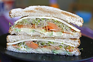 Vegetarian Sandwich