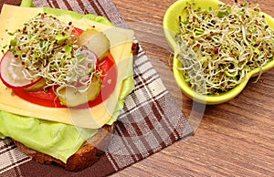 Vegetarian sandwich and bowl with alfalfa and radish sprouts