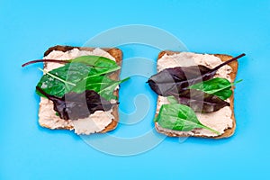 Vegetarian sandwich. Toast with a creamy spread and assorted edible salad leaves. Blue background. Healthy eating. Food concept