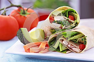 Vegetarian Sandwich Wrap