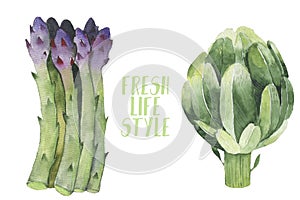 Vegetarian seamless pattern. Watercolor. seamless texture with detailed hand-painted vegetables