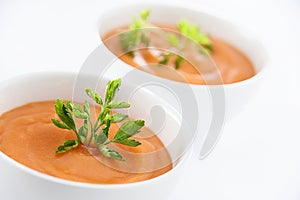 Vegetarian soup