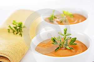 Vegetarian soup