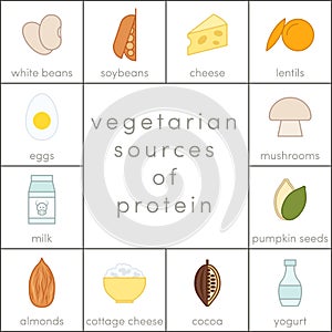 Vegetarian sources of protein