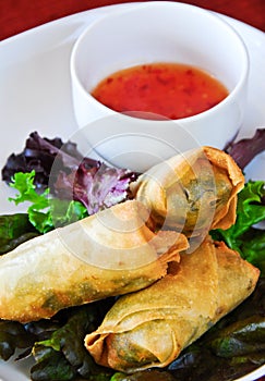 Vegetarian spring rolls