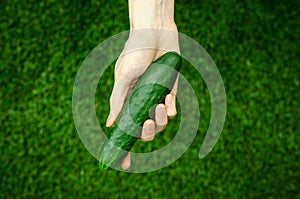 Vegetarians and fresh fruit and vegetables on the nature of the theme: human hand holding a cucumber on a background of green gras