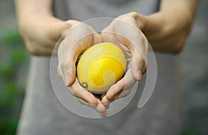 Vegetarians and fresh fruit and vegetables on the nature of the theme: human hand holding a lemon on a background of green grass