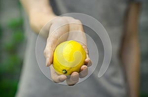 Vegetarians and fresh fruit and vegetables on the nature of the theme: human hand holding a lemon on a background of green grass