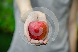 Vegetarians and fresh fruit and vegetables on the nature of the theme: human hand holding a red apple on a background of green gra