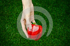 Vegetarians and fresh fruit and vegetables on the nature of the theme: human hand holding a red pepper on a background of green gr
