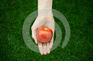 Vegetarians and fresh fruit and vegetables on the nature of the theme: human hand holding a tomato on the background of green gras