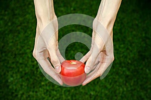 Vegetarians and fresh fruit and vegetables on the nature of the theme: human hand holding a tomato on the background of green gras