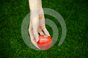 Vegetarians and fresh fruit and vegetables on the nature of the theme: human hand holding a tomato on the background of green gras