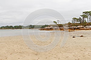 Vegetated beach on a cloudy summer day