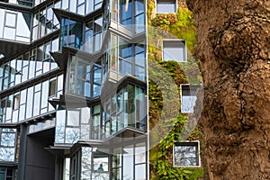 Vegetated green building in the city