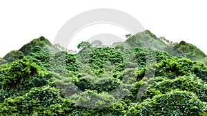 Vegetated Moutain Isolated On Transparent Background. Peaks With Vegetation, Forest And Jungle