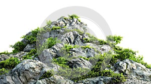 Vegetated Moutain Isolated On Transparent Background. Peaks With Vegetation, Forest And Jungle