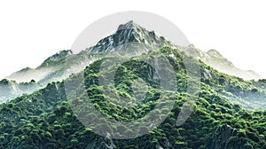 Vegetated Moutain Isolated On Transparent Background. Peaks With Vegetation, Forest And Jungle