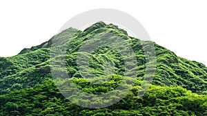 Vegetated Moutain Isolated On Transparent Background. Peaks With Vegetation, Forest And Jungle photo