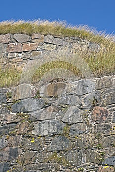 Vegetated wall on 2 levels