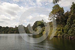 Vegetation along the edge of Yeak Laom lake